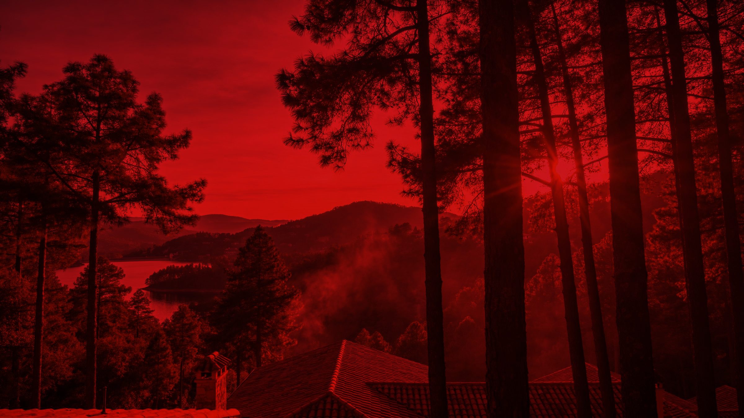 Bosque de Avándaro al amanecer, niebla entre los pinos de Valle de Bravo
